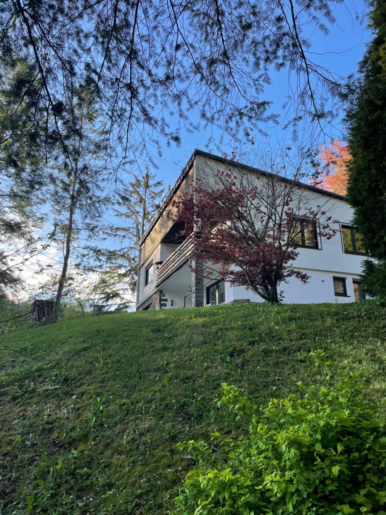 Talblick Chalet Blankenheim Blankenheim  Kültér fotó